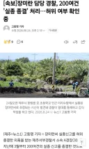 이번 제주도 실종건은 일이 엄청 커질수도 있겠네요...