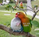 최신 사양 컴퓨터 근황