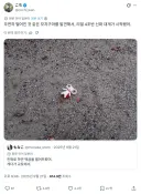 약 1년 만에 주인 품으로 돌아간 인형
