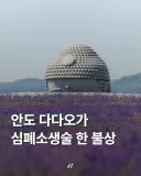 안도 다다오가 심폐소생술 한 불상.jpg