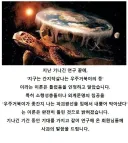 전 인류가 절망한 빨간약