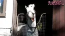 골드쉽이 얼굴 개그를 하는 이유