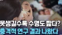 루리웹 장수 게시판