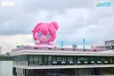 한강 도로롱.jpg
