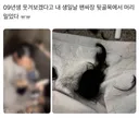 트위터 난리난 덕질하는 아이돌 때문에 머리 삭발한 팬.jpg