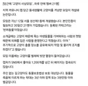 당근에 '고양이 사냥 모임'... 하루 만에 멤버 21명