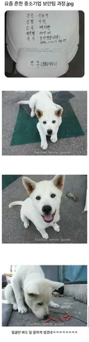 중소기업 보안팀 과장