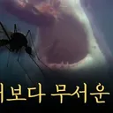 “도쿄에 강진.확률 70%..제2의 수도 지정..日