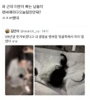 남자 아이돌이 팬싸때마다 팬보고 머리 밀라고 요청해서 머리밈.jpg