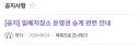망했다는 일베 사이트 최근 근황