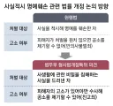 사실적시는 개정안 기사가 뜨긴 했었는데