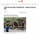 고유정 이후 성인 실종수사 달라졌다지만…장미란씨 사건엔 곳곳 허점