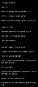 저격)베글에 기레기 소질있는 유게이 발견