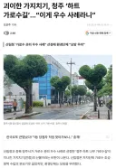 산림청과 청주가 선정한 아름다운 가로수길