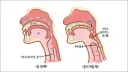 휴먼이 잘못 쓰고 있는 신체 부위들
