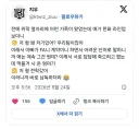 우리팀 형이 왜 상대 팀에 있는지 모르겠는 야구장 어린이.