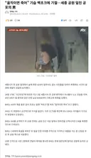 세종 공원 기습 백초크 사건