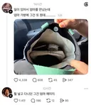 엄마 가방속에 매미가 있을때 하는말