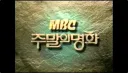8,90년대생 어린시절 주말 국룰.
