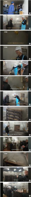 일본 가다랑어포 공장 위생상태