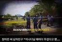 제주 실종 장미란 씨 야자수 숲 보고 무섭다고 하셨대