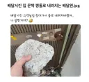 배달완료 하려고 대문 짱돌로 쳐서 문 연 배달기사
