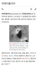 파레이돌리아 현상