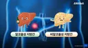 건강검진에서 지방간 소견 받은 2030이라면 꼭 봐야 하는 영상