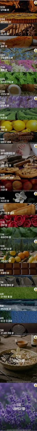 사람들이 가장 선호 한다는 향 순위 jpg