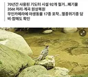 불법 시설물 걷어낸 팔공산 근황