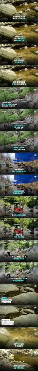 팔공산 70년 기도터 걷어내니…멸종위기 담비가 돌아왔다