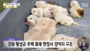 화재 현장에서 구조된 생존자 탔지만 생명에 지장 없어