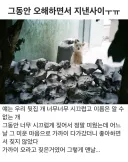 그동안 오해하면서 지낸 사이.jpg