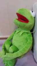 저 쌀 택배드리는 일 시작할 것 같습니다