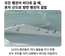 모든 펭귄이 바다로 갈 때, 혼자 산으로 가는 펭귄