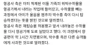 박수홍 비행기 기사랑 박수홍 둘다 맞다생각하면