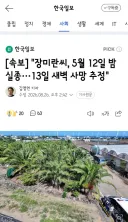장미란씨, 5월 12일 밤 실종···13일 새벽 사망 추정'/동네주민이 보는 이번 사건