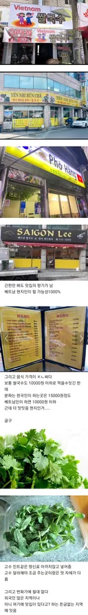베트남 음식점 찐맛집 특