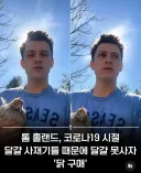 코시국 당시 달걀을 먹고 싶었던 톰 홀랜드