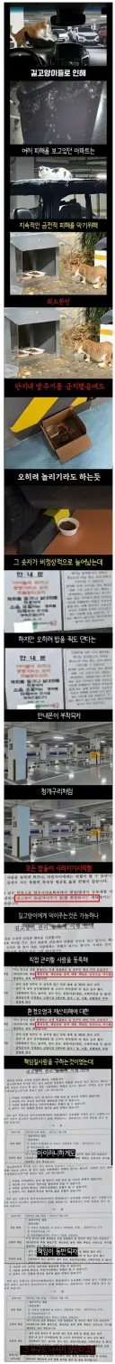 캣맘을 공포에 떨게한 안내문
