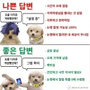 요즘 디지몬 개망했다던데