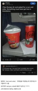 외국인 "한국 비행기 탓는데.. 기내식이 잘못나왓어!"