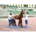 오디세이) 오디세이 표절 논란.jpg