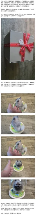 죽은 강아지 사진을 보내달라한 중국인 친구