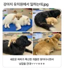 떡잎부터 다른 신입.jpg