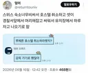 스위스 숙소 너무 비싸서 호스텔 취소하고