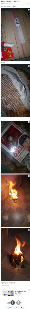 피규어 랜덤박스를 깐 디시인의 결말
