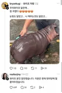 와이프 자랑항 유부남의 최후