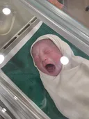 둘째 나왔습니다.