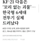 밀덕들 난리났다는 한국형 6세대 전투기 모형.png